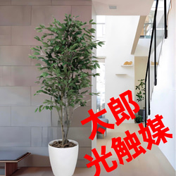 光触媒人工観葉植物ウォールグリーンフェイクグリーンノーブル