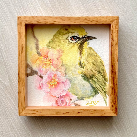 水彩画「おし鳥夫婦」