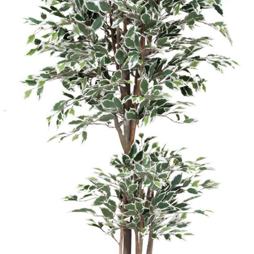 光触媒 人工観葉植物 フェイクグリーン トロピカルベンジャミン