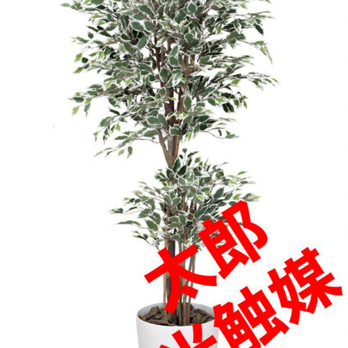 光触媒 人工観葉植物 フェイクグリーン トロピカルベンジャミン