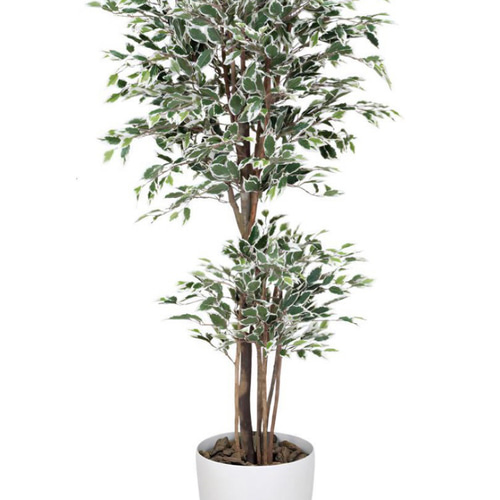 光触媒 人工観葉植物 フェイクグリーン トロピカルベンジャミン