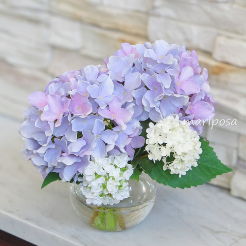 紫陽花パステル画８号 6160f8793a522216b53786339260b1