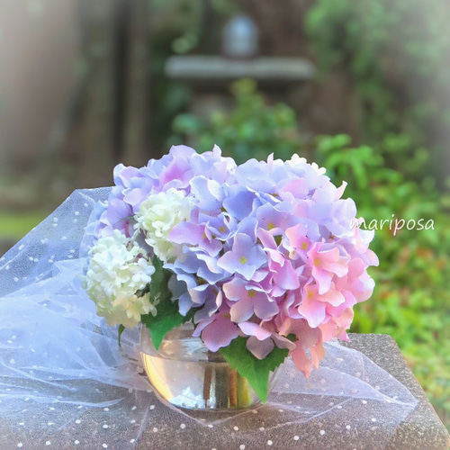紫陽花・雨に色づくパステルな雨色紫陽花とスノーボールと