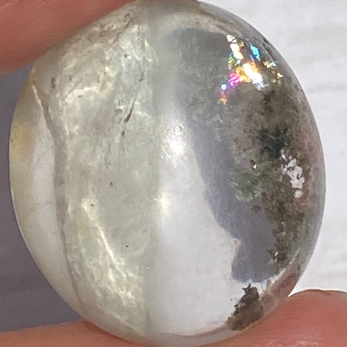 光玉の白 white.jpg