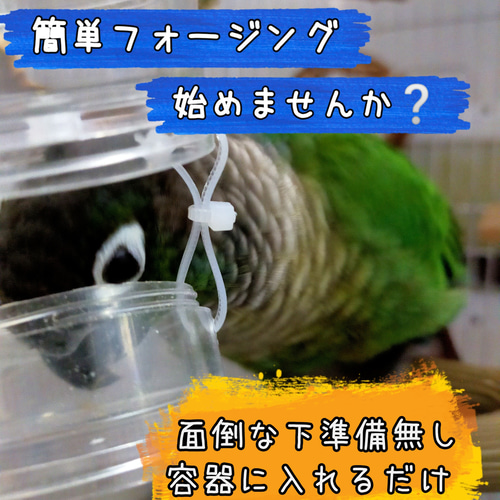 T14 自然素材インコガジガジおもちゃバードトイセットフォージングトイ