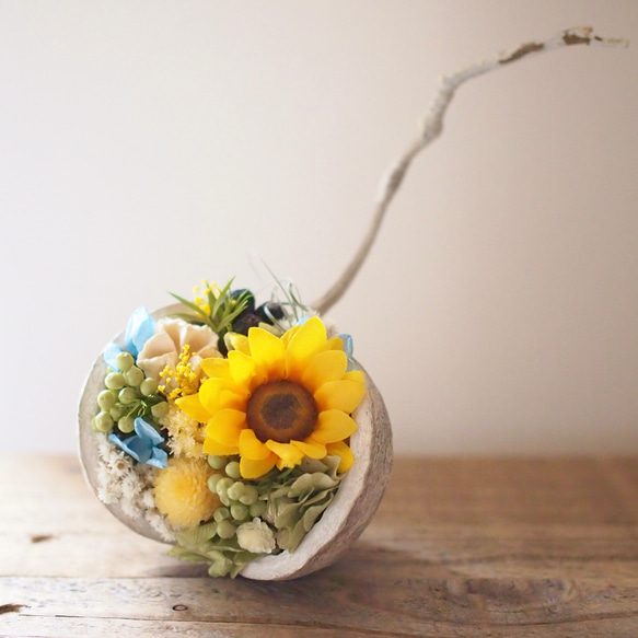 しあわせの実」ひまわりのブッダナッツ｜父の日 夏ギフトにも ドライ