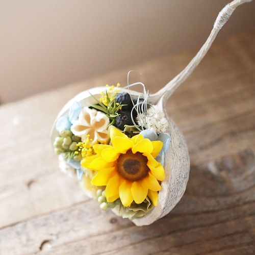 しあわせの実」ひまわりのブッダナッツ｜父の日 夏ギフトにも