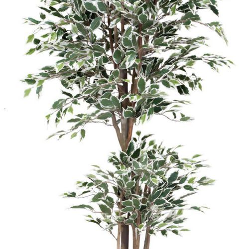 光触媒 人工観葉植物 フェイクグリーン トロピカルベンジャミン