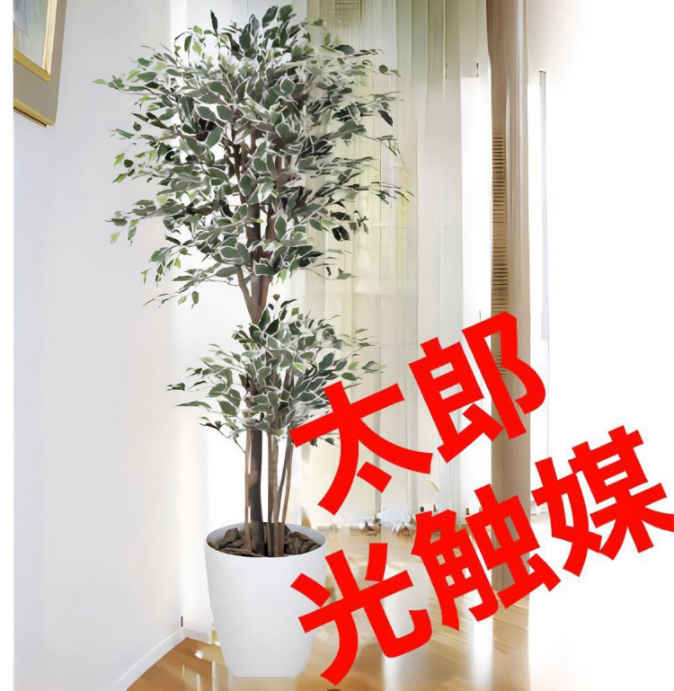 送料無料】《アートグリーン》《人工観葉植物》光触媒 光の楽園 送料無料】《アートグリーン》《人工観葉植物》光触媒 光の楽園
