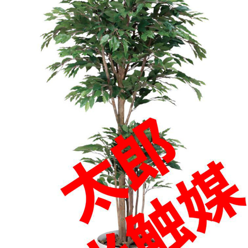 光触媒 人工観葉植物 フェイクグリーン トロピカルベンジャミン 1.6m 