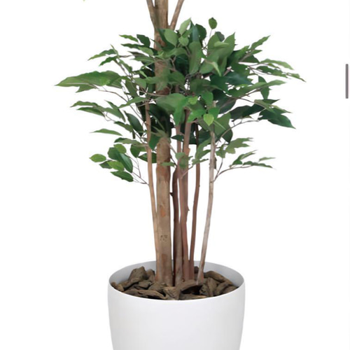 光触媒 人工観葉植物 フェイクグリーン トロピカルベンジャミン 1.6m 