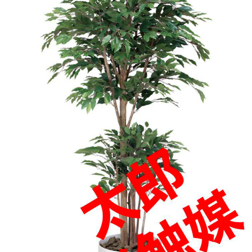 光触媒 人工観葉植物 フェイクグリーン トロピカルベンジャミン 光触媒 人工観葉植物 フェイクグリーン トロピカルベンジャミン