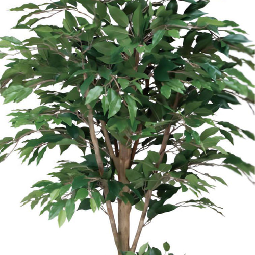 光触媒 人工観葉植物 フェイクグリーン トロピカルベンジャミン 光触媒 人工観葉植物 フェイクグリーン トロピカルベンジャミン