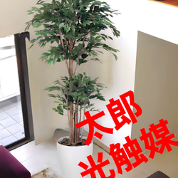 光触媒　人工観葉植物　ウォールグリーン　造花　インテリア　ベンジャミンバロック7 光触媒 人工観葉植物 ウォールグリーン 造花 インテリア ベンジャミン