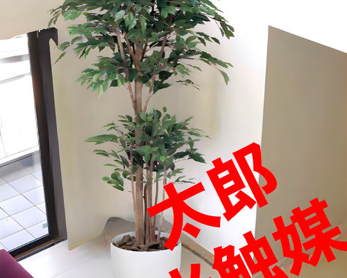 光触媒　人工観葉植物　ウォールグリーン　フィッカスベンジャミナセパレート 400 光触媒 人工観葉植物 ウォールグリーン フィッカスベンジャミナ