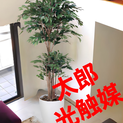 光触媒 人工観葉植物 フェイクグリーン トロピカルベンジャミン 光触媒 人工観葉植物 フェイクグリーン トロピカルベンジャミン