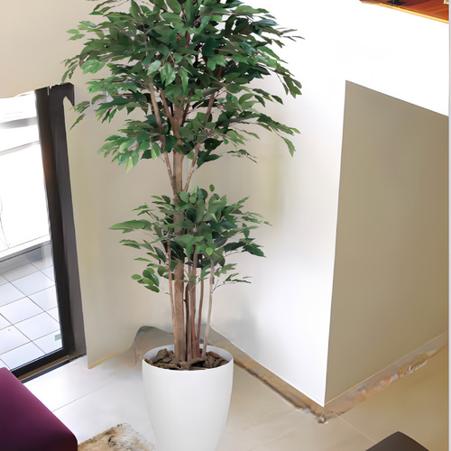 光触媒 人工観葉植物 フェイクグリーン トロピカルベンジャミン 光触媒 人工観葉植物 フェイクグリーン トロピカルベンジャミン