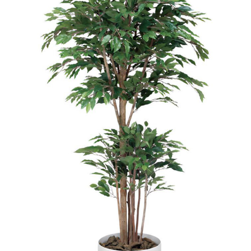 光触媒 人工観葉植物 フェイクグリーン トロピカルベンジャミン 光触媒 人工観葉植物 フェイクグリーン トロピカルベンジャミン