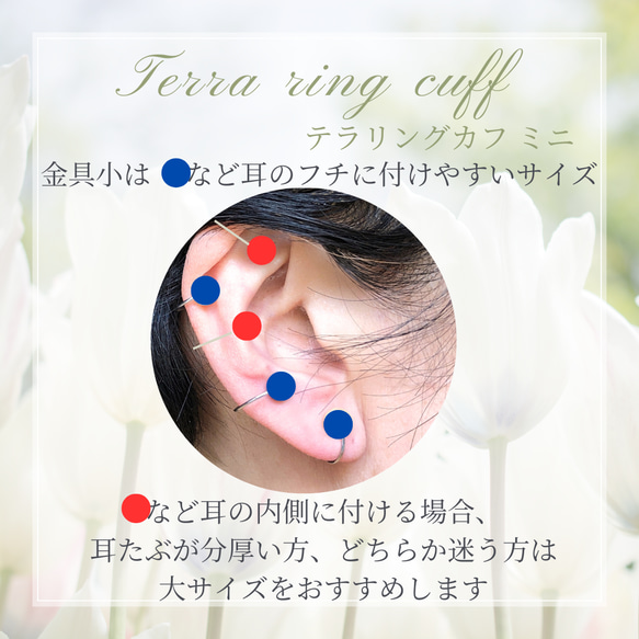 耳ツボイヤーカフ【Wテラヘルツ】ミニサイズ◇サージカルステンレス◇耳から感じる身体の変化 3枚目の画像