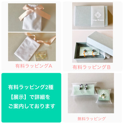 耳ツボイヤーカフ【Wテラヘルツ】ミニサイズ◇サージカルステンレス◇耳から感じる身体の変化 8枚目の画像
