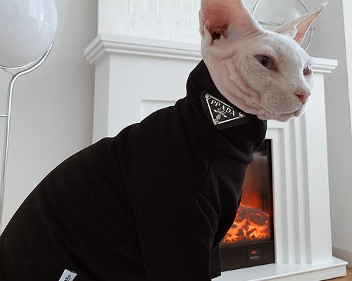 【ピーター】スウェット、ベスト、猫、バッグ 楽天市場】ペットの服 セーター 猫のセーター キャット ネコ 犬