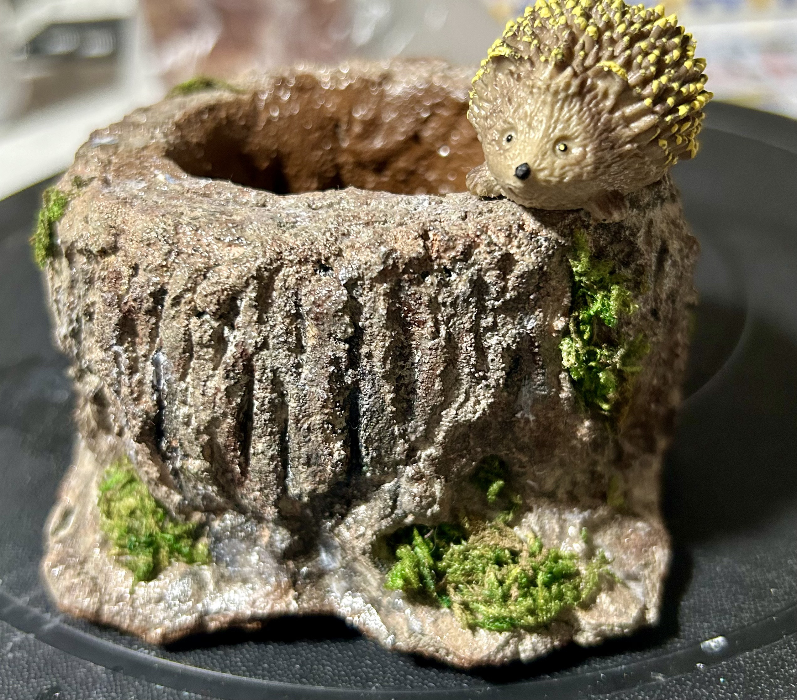 モルタル造形 切り株底穴が空いています花器としても飾れますよ 切り株底穴が空いています花器としても飾れますよ モルタル造形