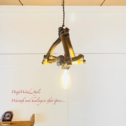 アンティーク照明　流木スタンドライト NatureArt 流木のスタンドライト | RoomZ interior