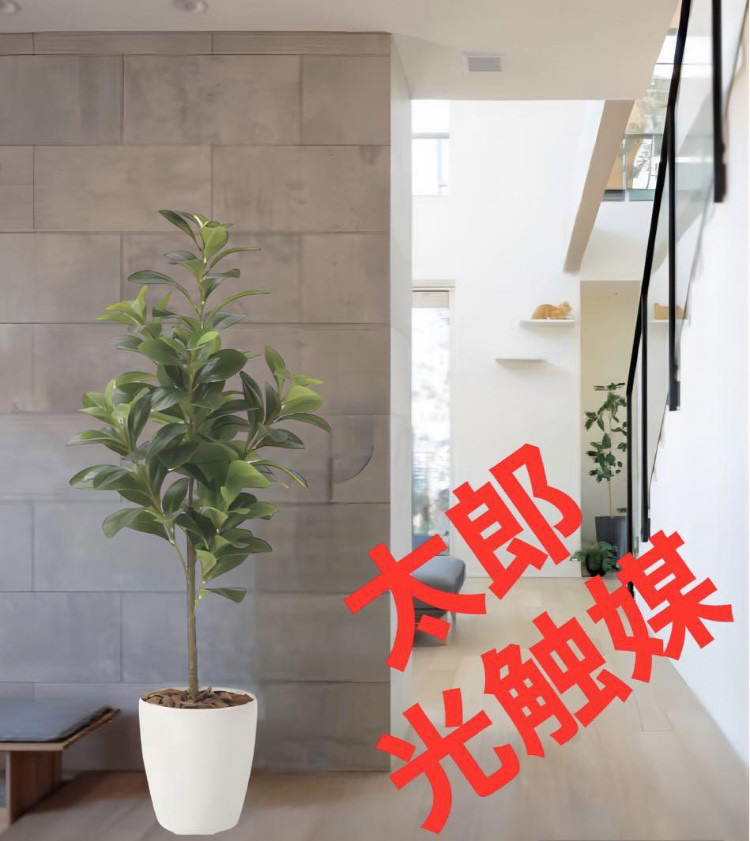 光触媒観葉植物 フレッシュシルバーユーカリ1.7 フェイクグリーン 人工