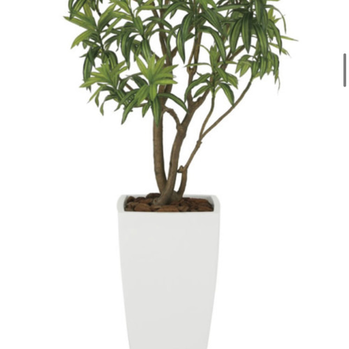 光触媒　人工観葉植物　フェイクグリーン　フレッシュドラセナW1.8m 光触媒 人工観葉植物 フェイクグリーン フレッシュドラセナW1.8m