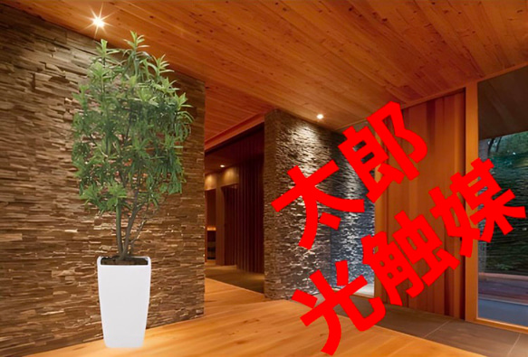 光触媒 人工観葉植物 フェイクグリーン フレッシュドラセナW1.8m