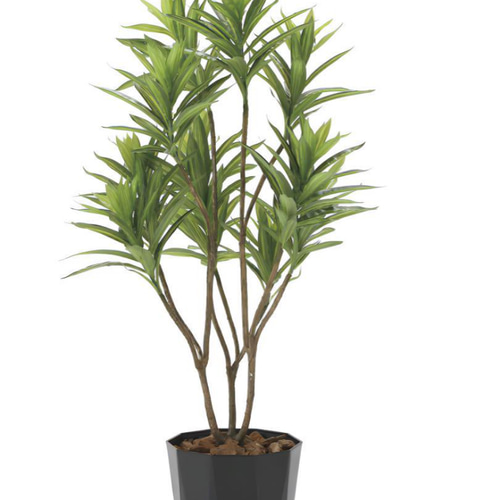 光触媒 人工観葉植物 フェイクグリーン フレッシュドラセナ1.2m 【公式