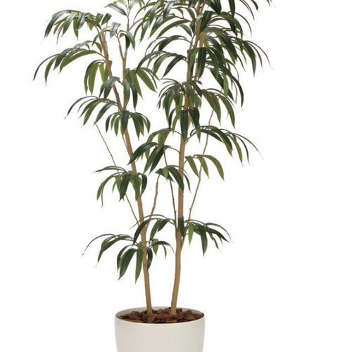 光触媒　人工観葉植物　フェイクグリーン ショウナンゴム1.8 光触媒 人工観葉植物 フェイクグリーン ショウナンゴム1.8 その他