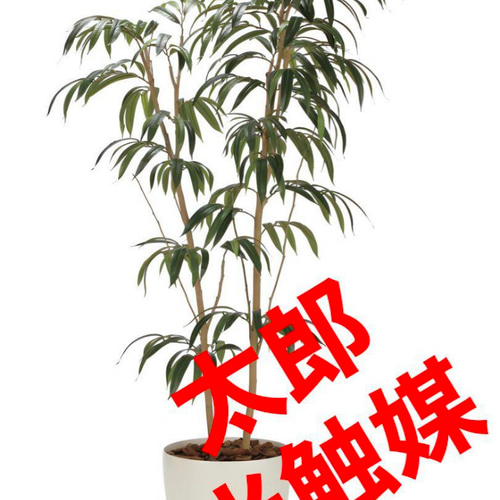 光触媒　人工観葉植物　フェイクグリーン ショウナンゴム1.8 光触媒 人工観葉植物 フェイクグリーン ショウナンゴム1.8