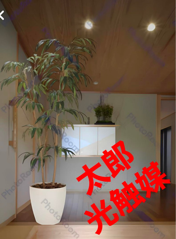 光触媒　人工観葉植物　フェイクグリーン ショウナンゴム1.8 光触媒 人工観葉植物 フェイクグリーン ショウナンゴム1.8
