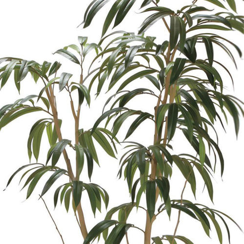 光触媒　人工観葉植物　フェイクグリーン ショウナンゴム1.8 光触媒 人工観葉植物 フェイクグリーン ショウナンゴム1.8