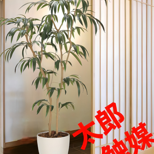光触媒　人工観葉植物　ウォールグリーン　フェイクグリーン　ショウナンゴム 光触媒 人工観葉植物 ウォールグリーン フェイクグリーン