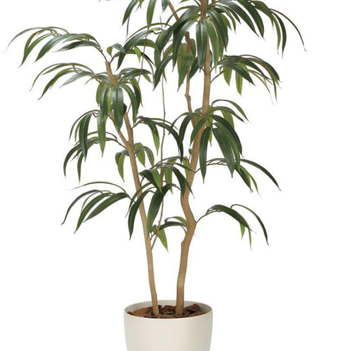 光触媒 人工観葉植物 ウォールグリーン フェイクグリーン ショウナン