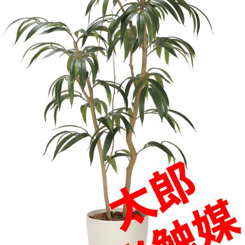 光触媒　人工観葉植物　ウォールグリーン　フェイクグリーン　ショウナンゴム1.3m 光触媒 人工観葉植物 ウォールグリーン フェイクグリーン