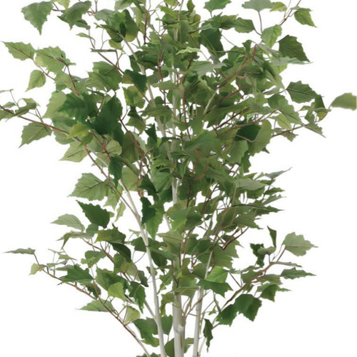 光触媒　人工観葉植物　ウォールグリーン　フェイクグリーン　白樺1.4m 光触媒 人工観葉植物 ウォールグリーン フェイクグリーン 白樺