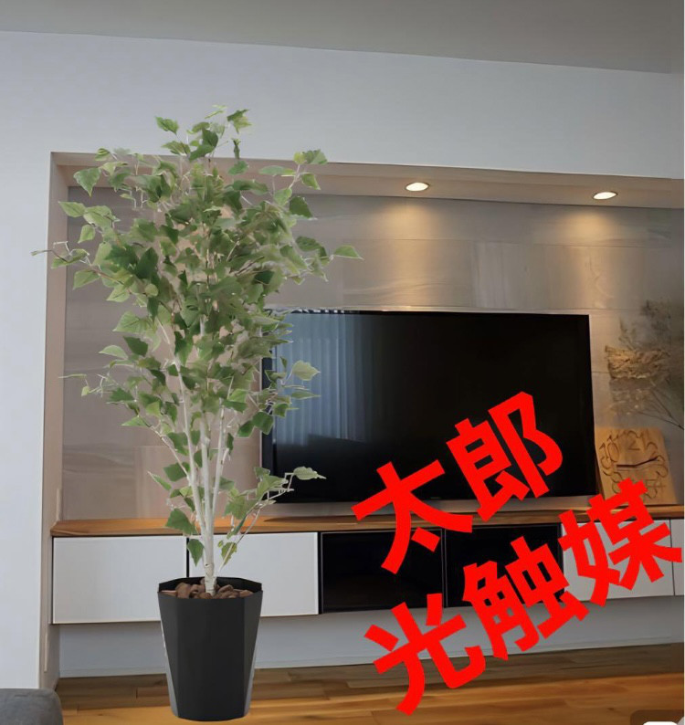 光触媒　人工観葉植物　ウォールグリーン　フェイクグリーン　白樺1.4m