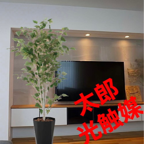 光触媒　人工観葉植物　ウォールグリーン　フェイクグリーン　白樺 光触媒 人工観葉植物 ウォールグリーン フェイクグリーン 白樺