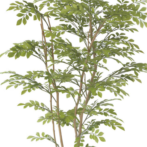 光触媒　人工観葉植物　ウォールグリーン　フェイクグリーン　ライトトネリコ1.6m 光触媒 人工観葉植物 ウォールグリーン フェイクグリーン ライト