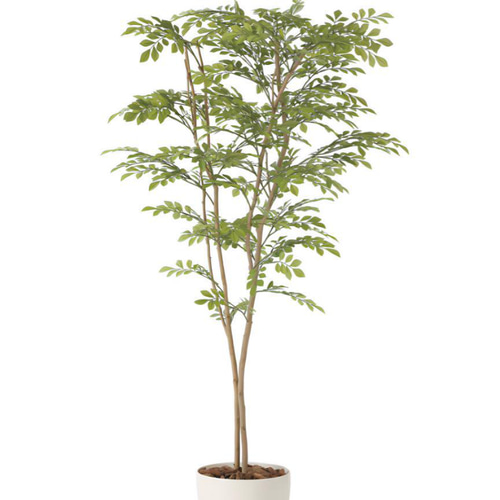 光触媒　人工観葉植物　ウォールグリーン　フェイクグリーン　ライトトネリコ1.6m 光触媒 人工観葉植物 ウォールグリーン フェイクグリーン ライト