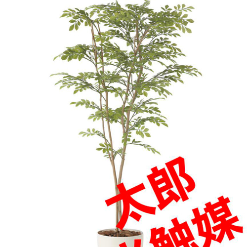 光触媒　人工観葉植物　ウォールグリーン　フェイクグリーン　ライトトネリコ1.6m 光触媒 人工観葉植物 ウォールグリーン フェイクグリーン ライト