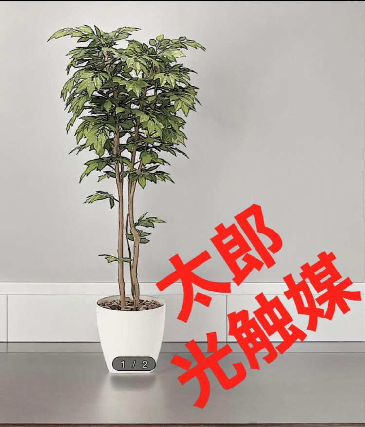 光触媒 人工観葉植物 ウォールグリーン フェイクグリーン 欅ケヤキ1.8m