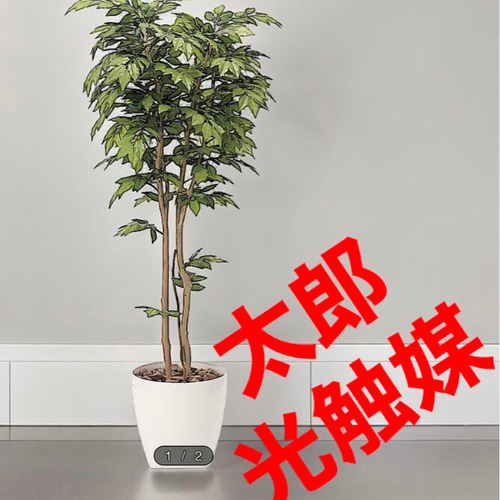 最終決算 人工観葉植物 光触媒 ウォールグリーン 欅 フェイクグリーン フラワー・ガーデニング