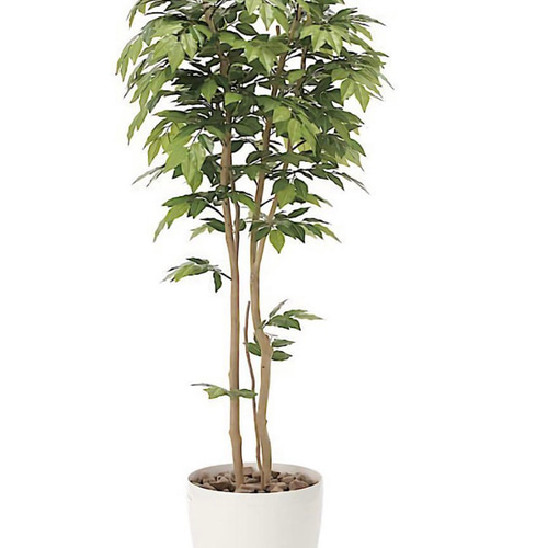 光触媒 人工観葉植物 ウォールグリーン フェイクグリーン 欅