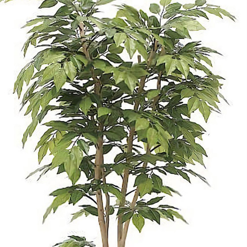 光触媒　人工観葉植物　ウォールグリーン　フェイクグリーン　欅ケヤキ1.8m 光触媒人工観葉植物ウォールグリーンフェイクグリーン欅ケヤキ1.8m