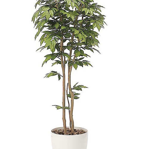 光触媒　人工観葉植物　ウォールグリーン　フェイクグリーン　欅ケヤキ1.8m 光触媒 人工観葉植物 ウォールグリーン フェイクグリーン 欅ケヤキ1.8m