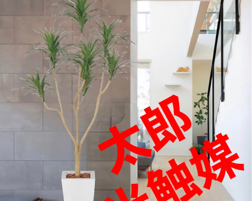 光触媒 人工観葉植物 ウォールグリーン フェイクグリーン ユッカツリー